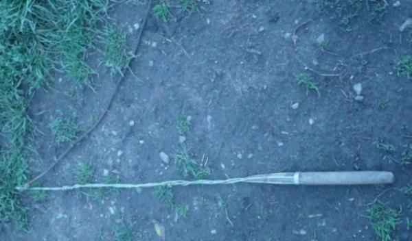 bătută cu un bici