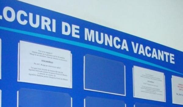 locuri-de-munca-vacante