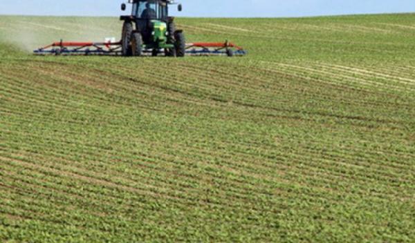 teren agricol