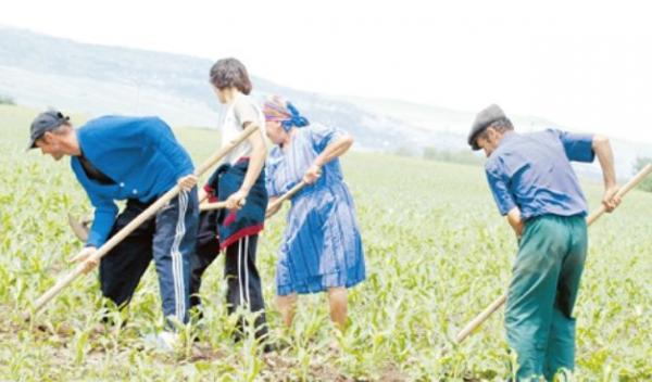 Agricultură