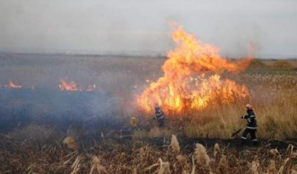 caruta coceni incendiata
