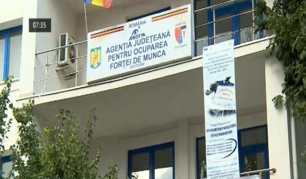 locuri de munca