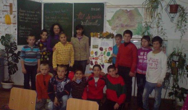 LTS Ion Pillat SEG_7