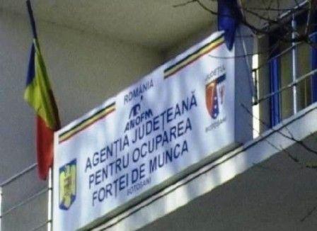 AJOFM Botoşani - Locuri noi de muncă pentru persoanele cu studii superioare