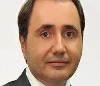 Cristian Rizea PSD diaspora