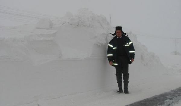 Botosani deszapezire