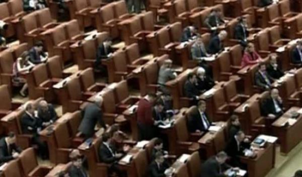 senat
