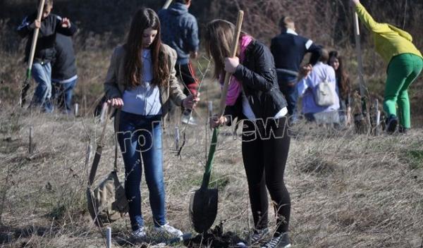 Romania prinde radacini la Dorohoi - 2014_59