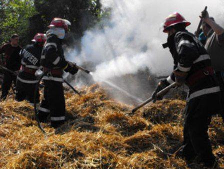 incendiu furaje