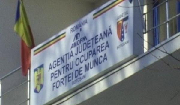 AJOFM Botosani