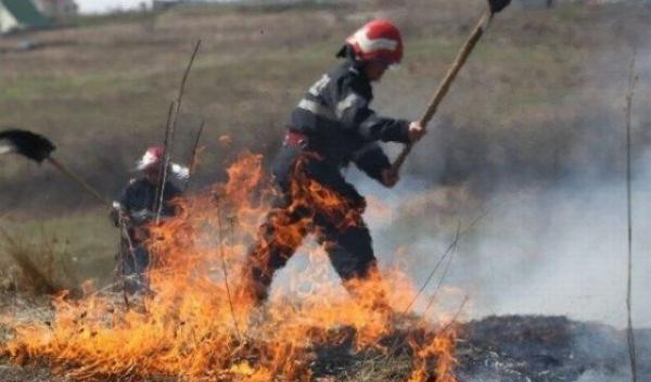 Incendiu_vegetatie