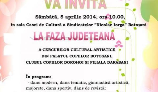 Afis Faza Judeteana