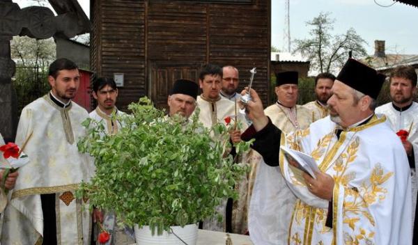 Procesiune 2013-5