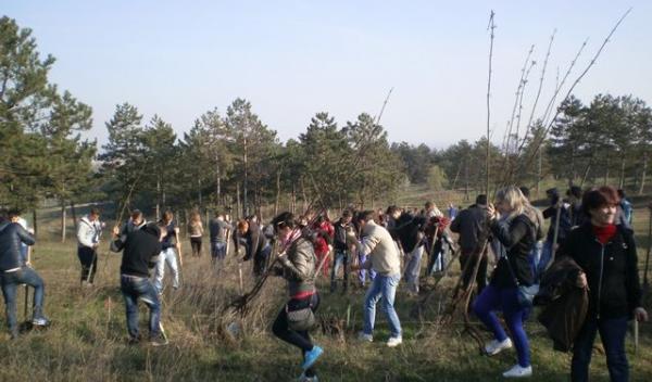 Scoala Altfel, Regina Maria, Dorohoi_22