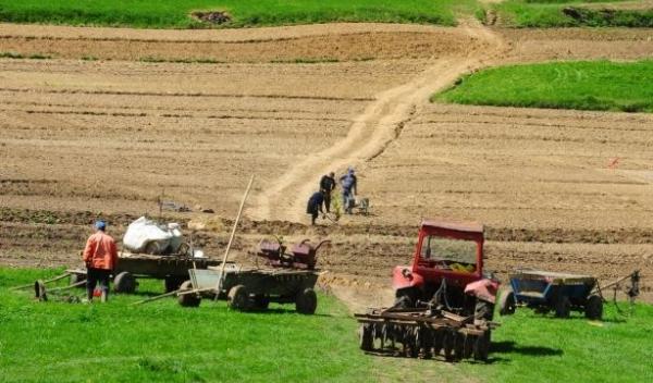 terenuri_agricole
