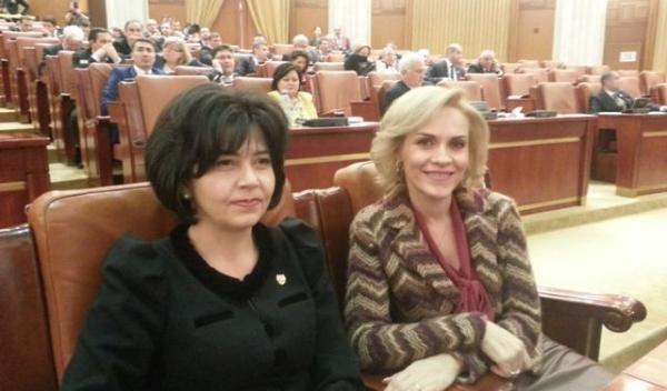 doina-gabi-firea