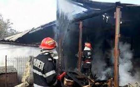 incendiu adapost animale