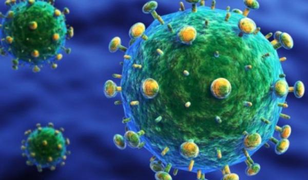 virus