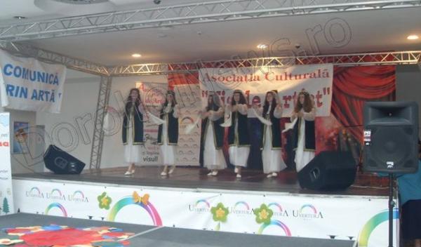 Asociatia culturală Vis de Artist003