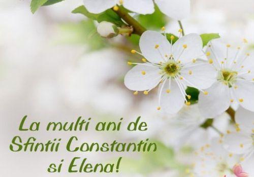 la-multi-ani-constantin-elena