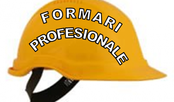 formare profesionala