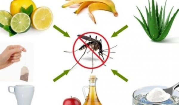 remedii-naturale-pentru-muscaturile-de-tantari