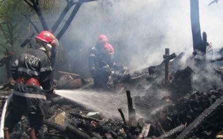 adapost de animale incendiat