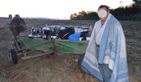tigari de contrabanda