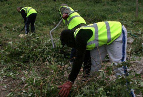 munca in folosul comunitatii