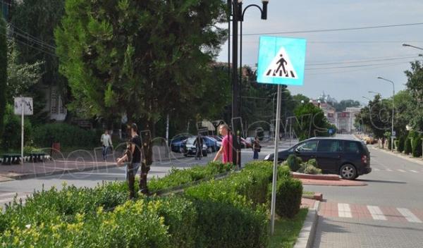 Copacei cosmetizati la Dorohoi_14
