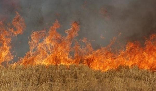 incendiu miristi