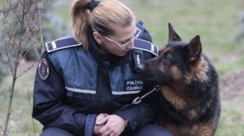 Poliţia sanitar-veterinare a animalelor