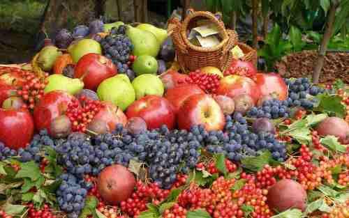 fructe