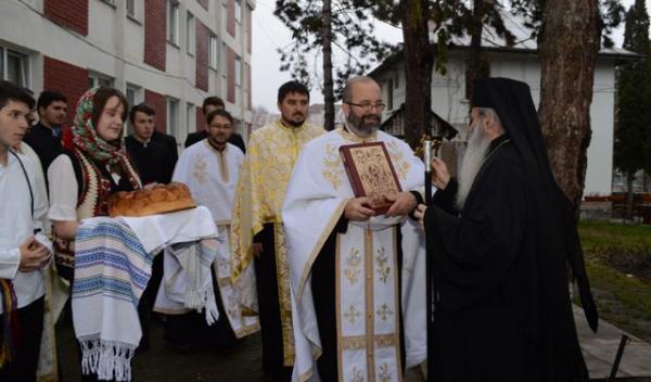 Ator Dorohoi