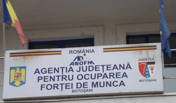 AJOFM Botoșani