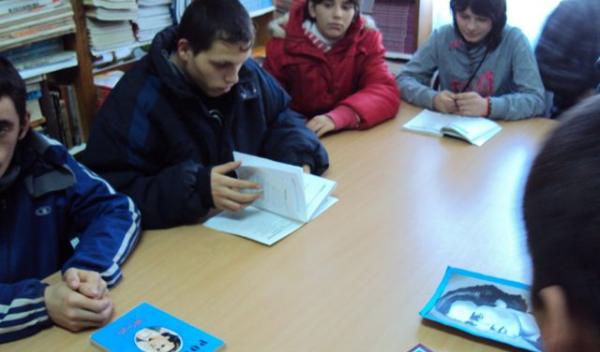 Liceul Tehnologic Special Ion Pillat Dorohoi