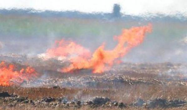 foc-miriste