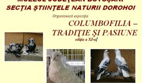 Muzeul de Stiintele Naturii Dorohoi - 1
