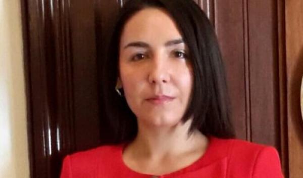 Claudia Tapardel - eurodeputat PSD