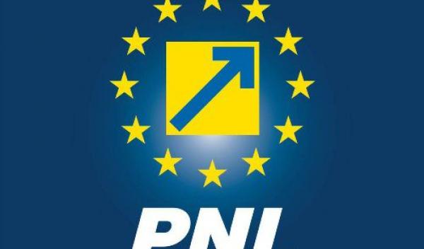 PNL_1