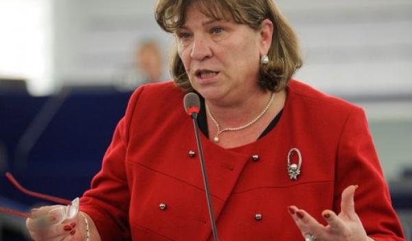 Norica Nicolai, în favoarea unei acțiuni rapide a CE în privința fondurilor de investiții pe termen 