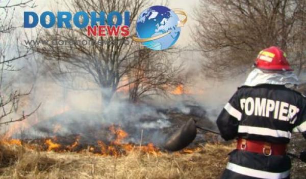 Incendiu vegetatie-DH