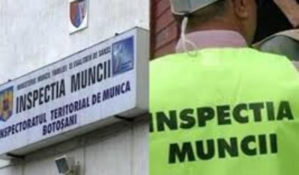 Inspectorii de muncă, ITM Botoșani