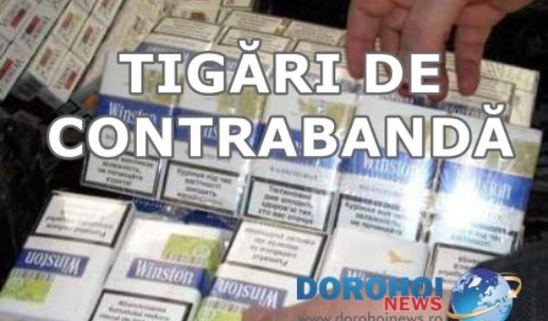 Tigari_contrabanda