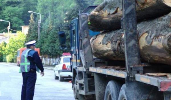 Material lemnos confiscat și amendă de 2.000 lei