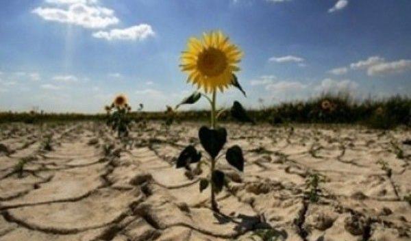 Plan de măsuri pentru diminuarea efectelor secetei pe teritoriul judeţului Botoşani