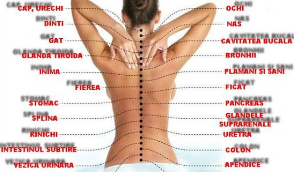 durere la nivelul coloanei vertebrale inferioare)