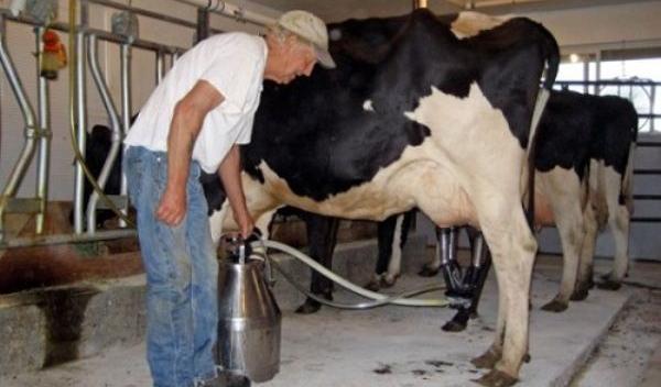 fermieri-lapte