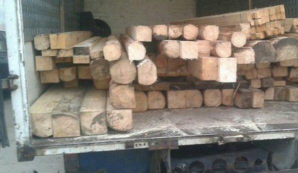 confiscare-lemn