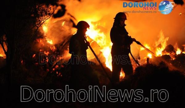 Incendiu Dragalina_31